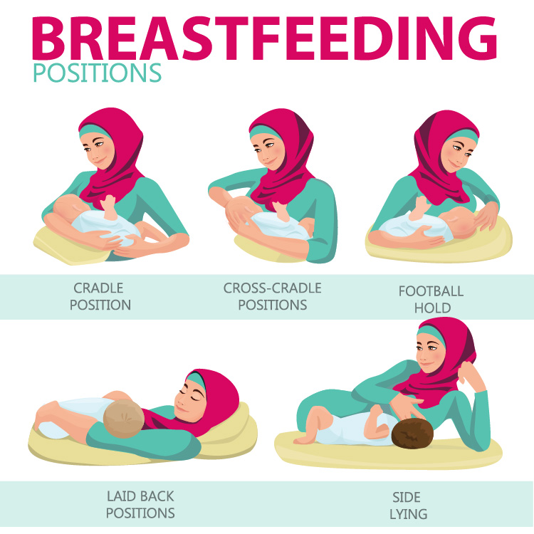 An illustration of a lady breastfeeding her newborn in different positions: cradle, cross-cradle, football, laid back, and side.